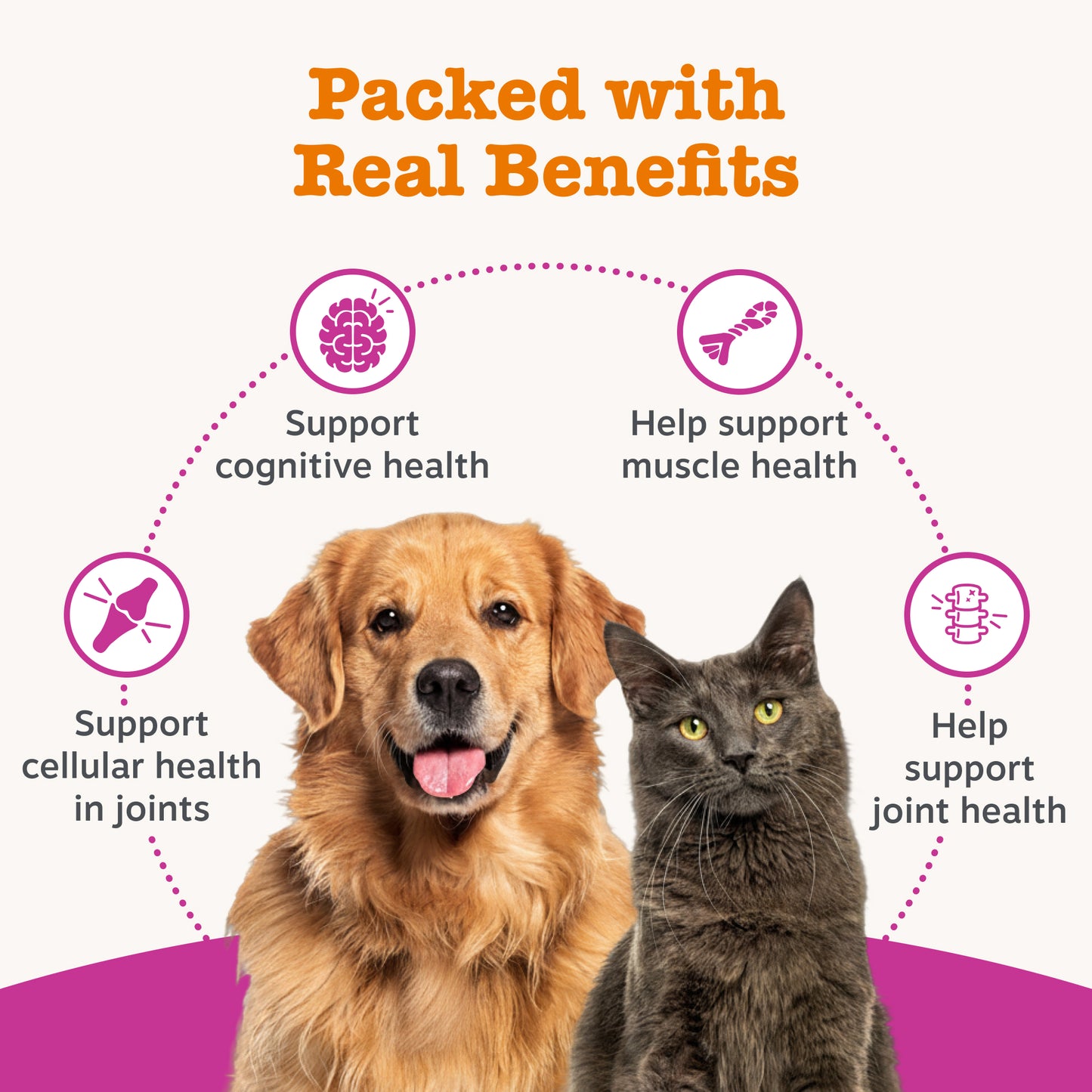 Zesty Paws Hip & Joint Salmon Oil