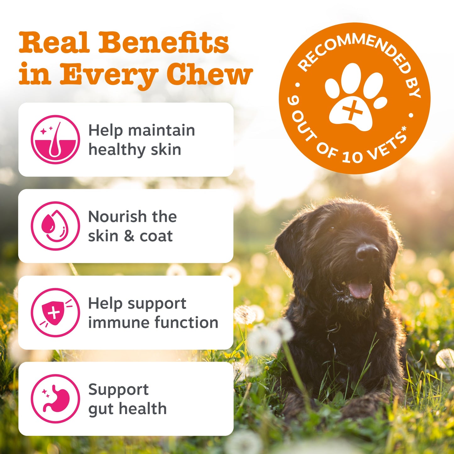 Recommended by 9 out of 10 vets.
Key benefits includes: maintain healthy skin, nourish the skin & coat, help support immune function, support gut health.