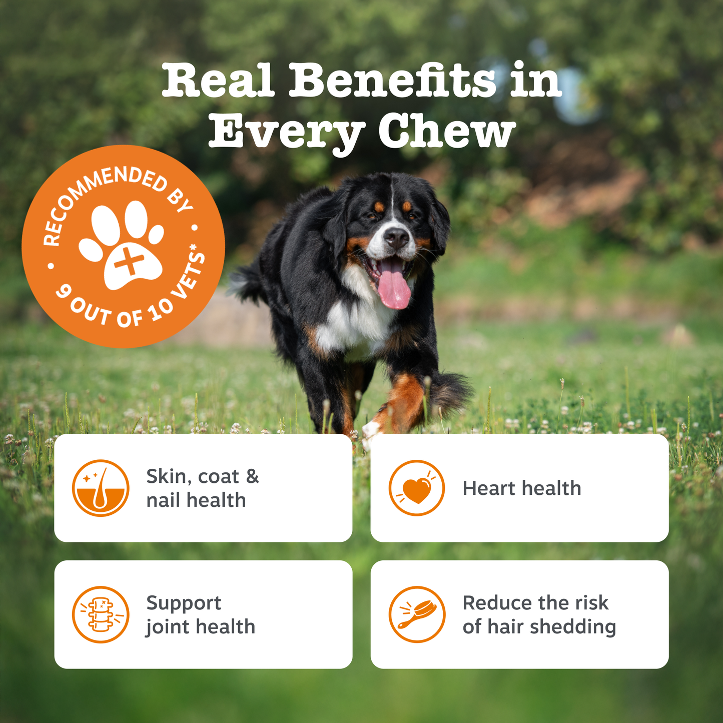 Zesty Paws Omega Skin & Coat Chews