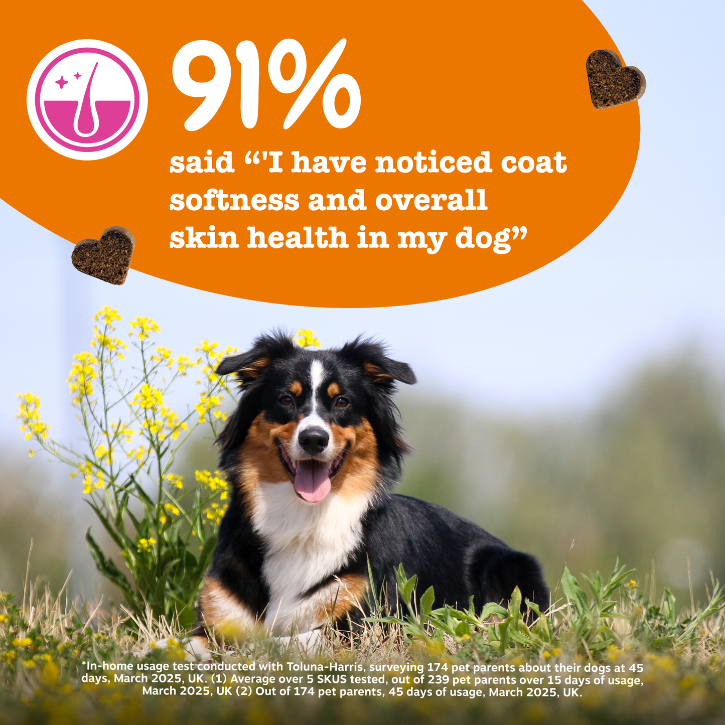 Zesty Paws Omega Skin & Coat Chews