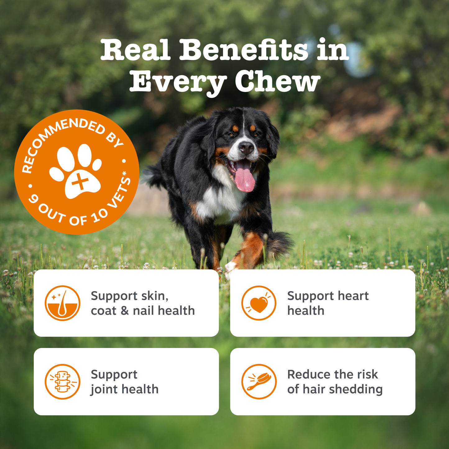 Zesty Paws Omega Skin & Coat Chews