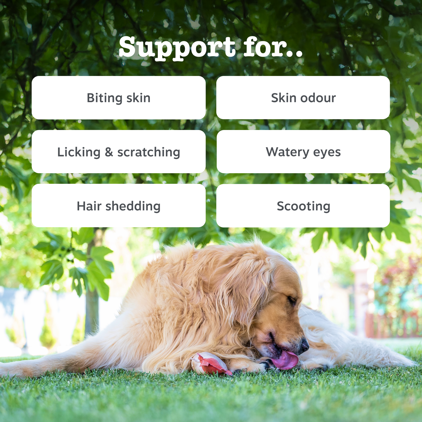 Zesty Paws Omega Skin & Coat Chews