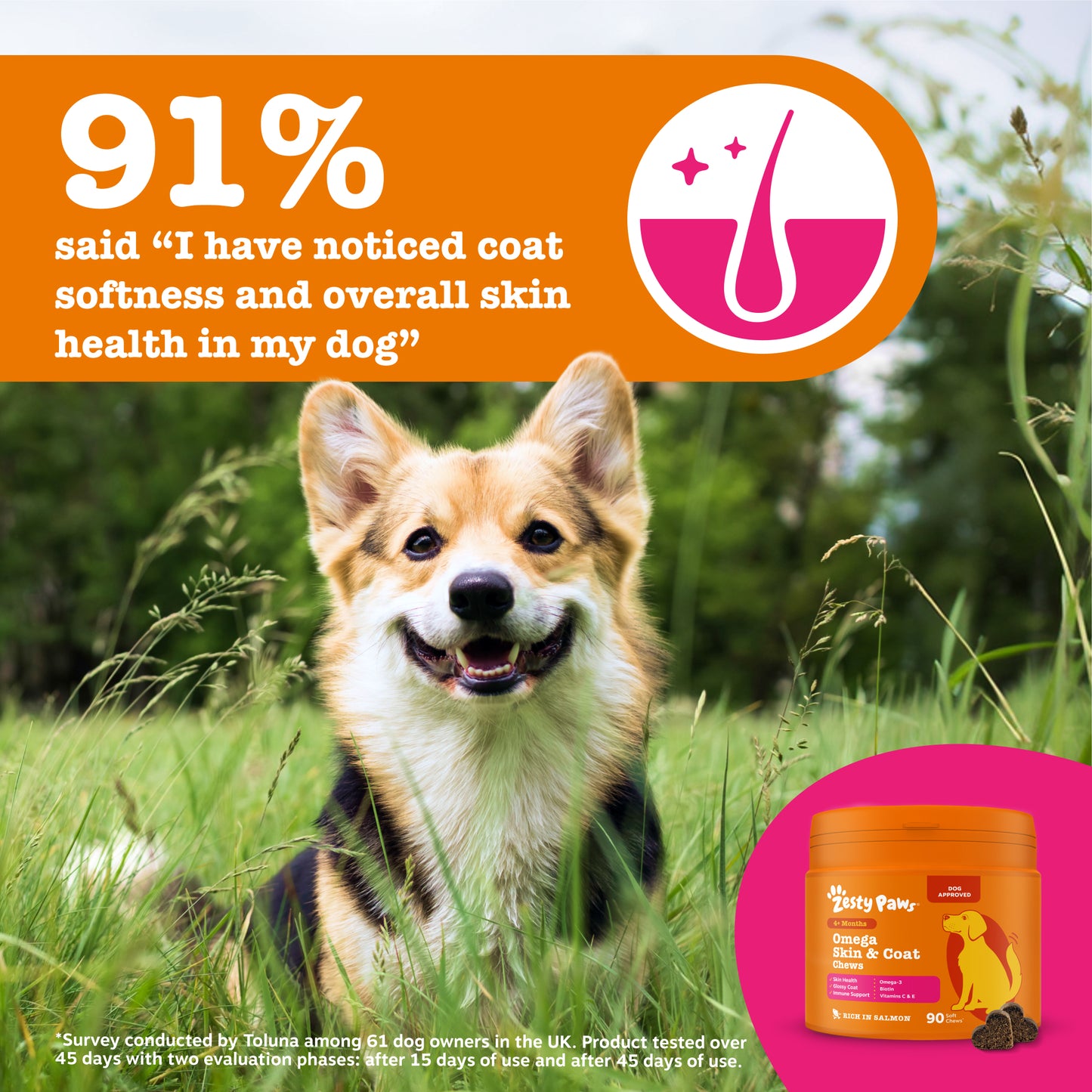 Zesty Paws Omega Skin & Coat Chews