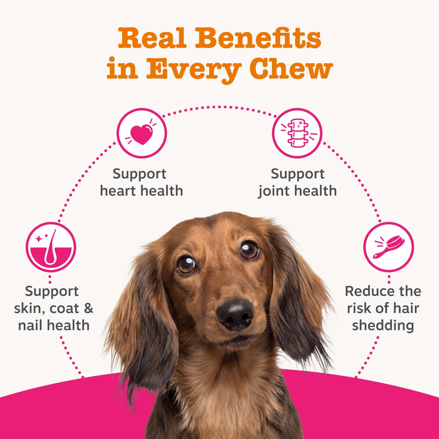 Zesty Paws Omega Skin & Coat Chews