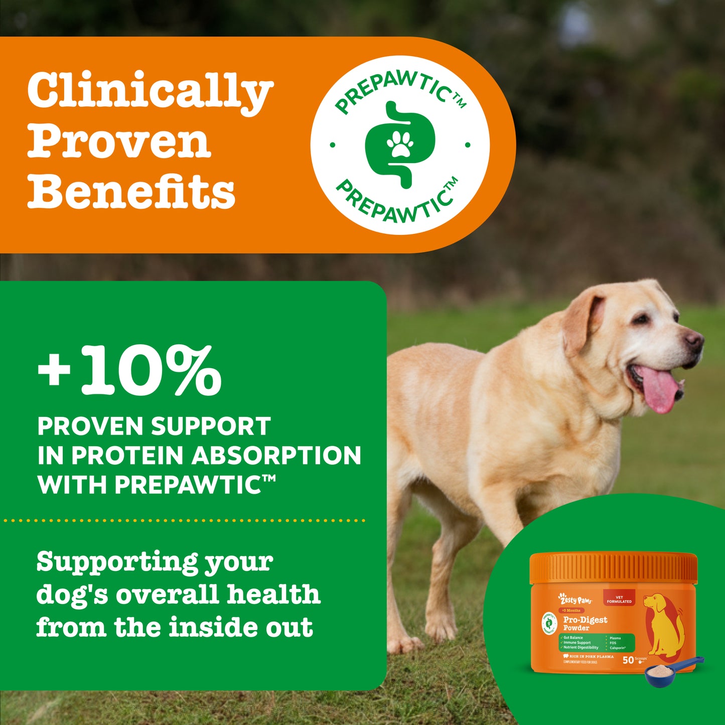 Zesty Paws Pro-Digest Powder