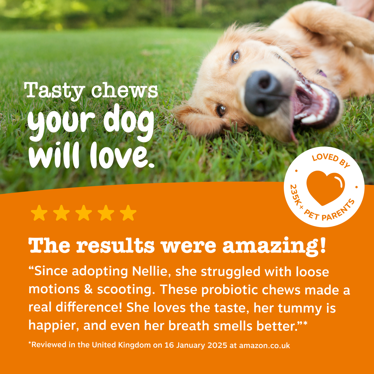 Zesty Paws Probiotic Chews