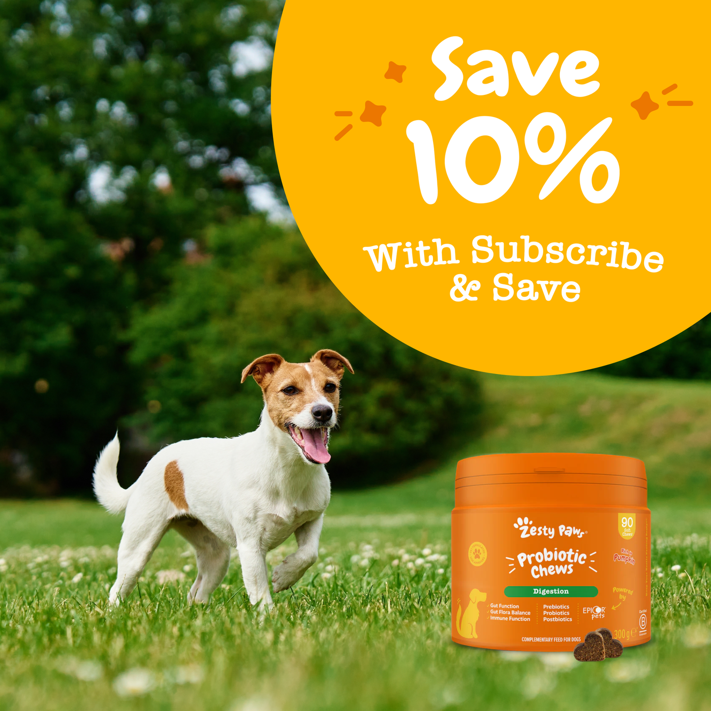 Zesty Paws Probiotic Chews