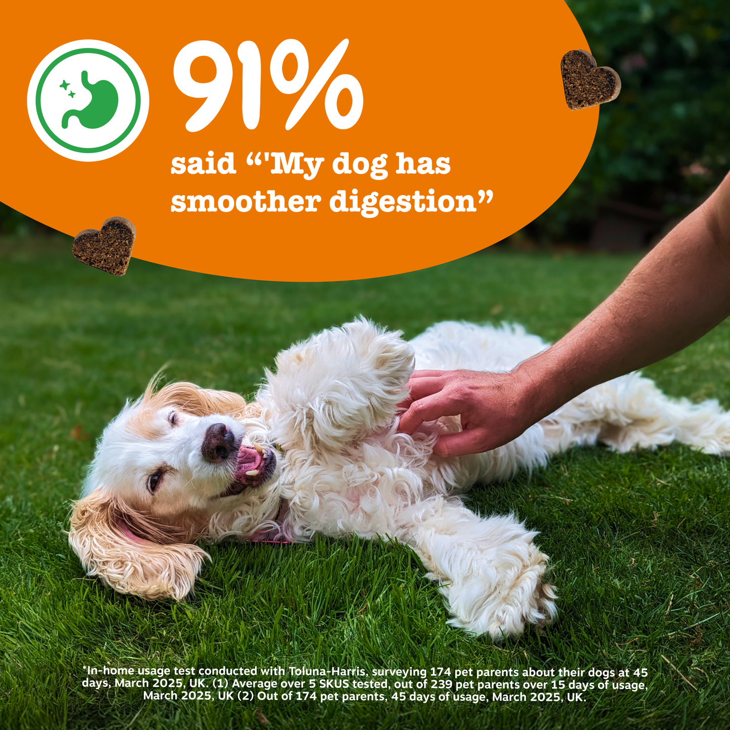 Zesty Paws Probiotic Chews