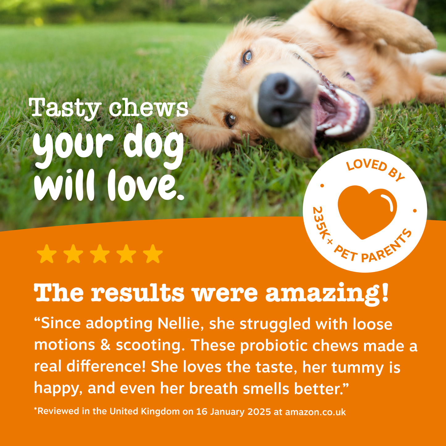 Zesty Paws Probiotic Chews