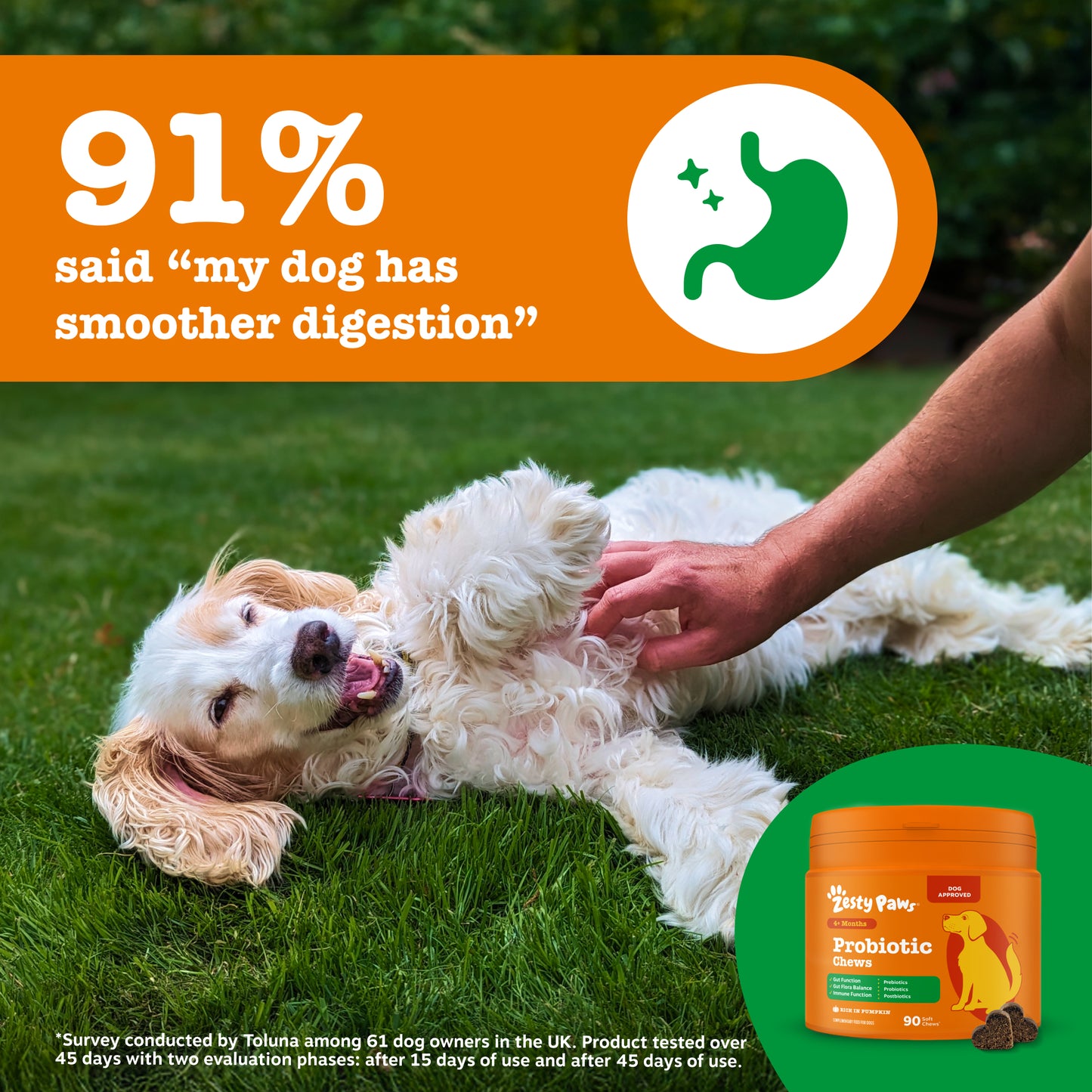 Zesty Paws Probiotic Chews