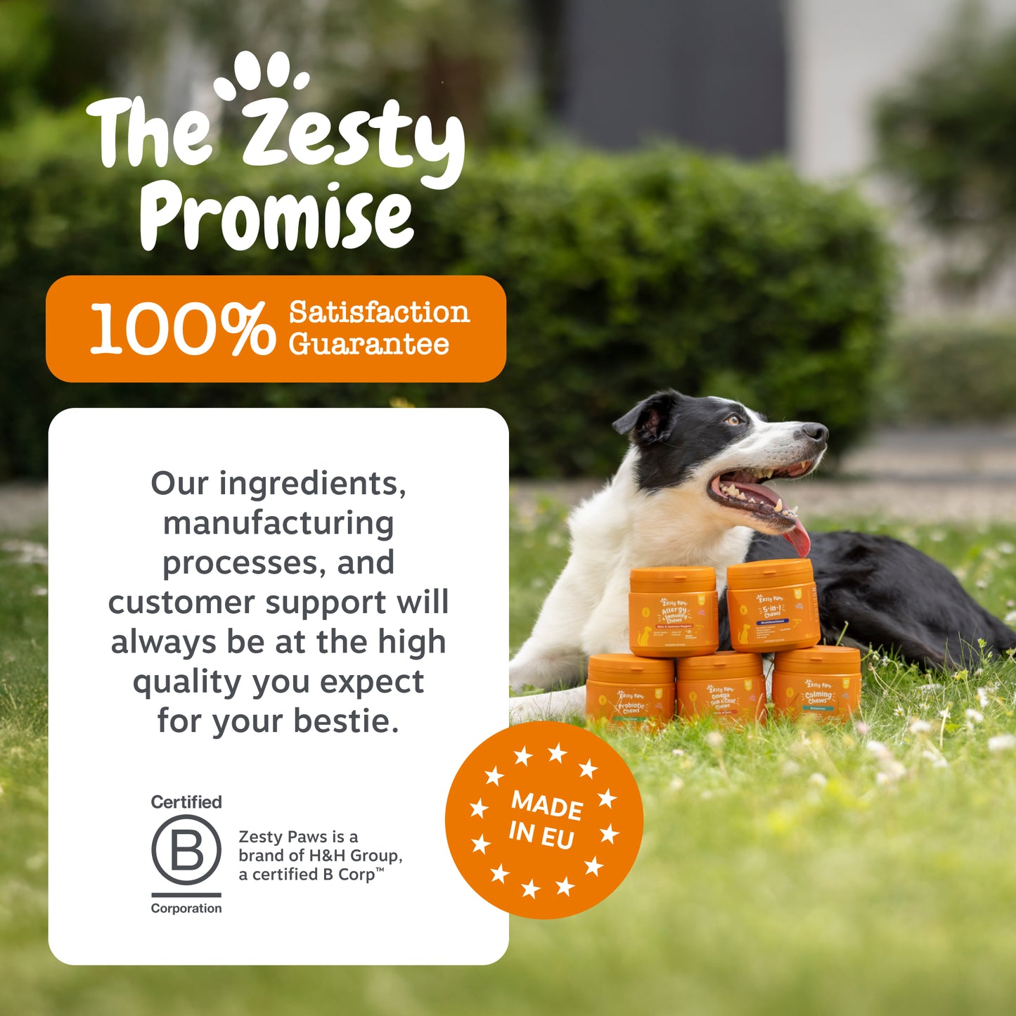 Zesty Paws Probiotic Chews