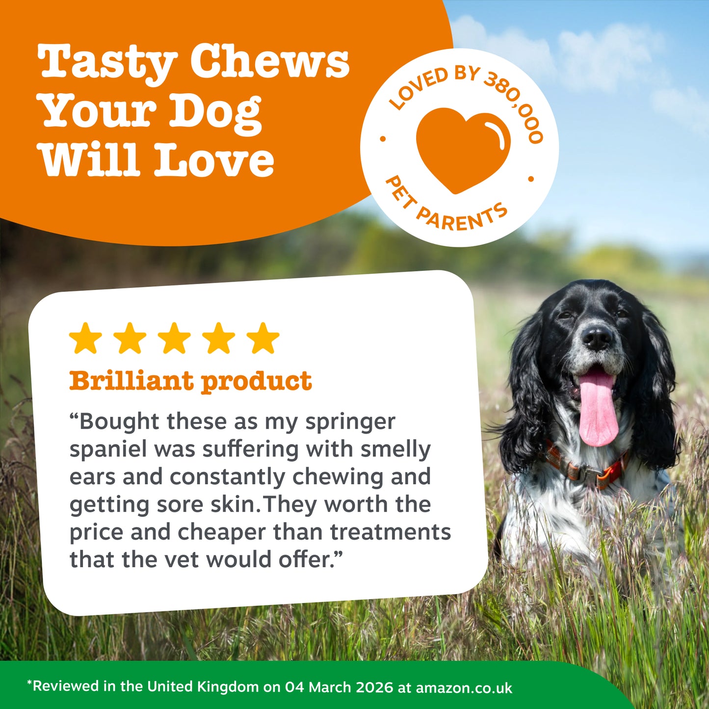 Zesty Paws Probiotic Chews