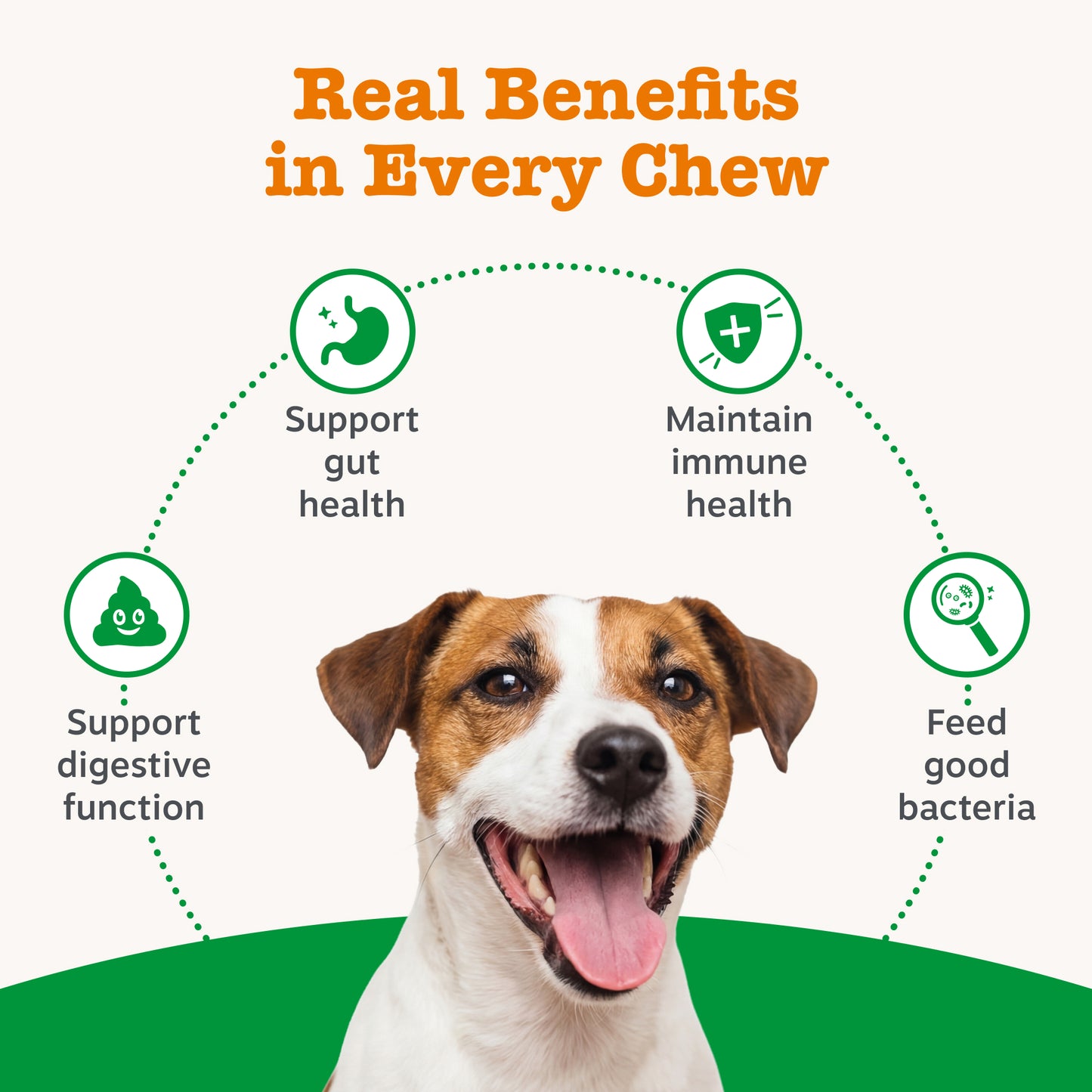 Zesty Paws Probiotic Chews