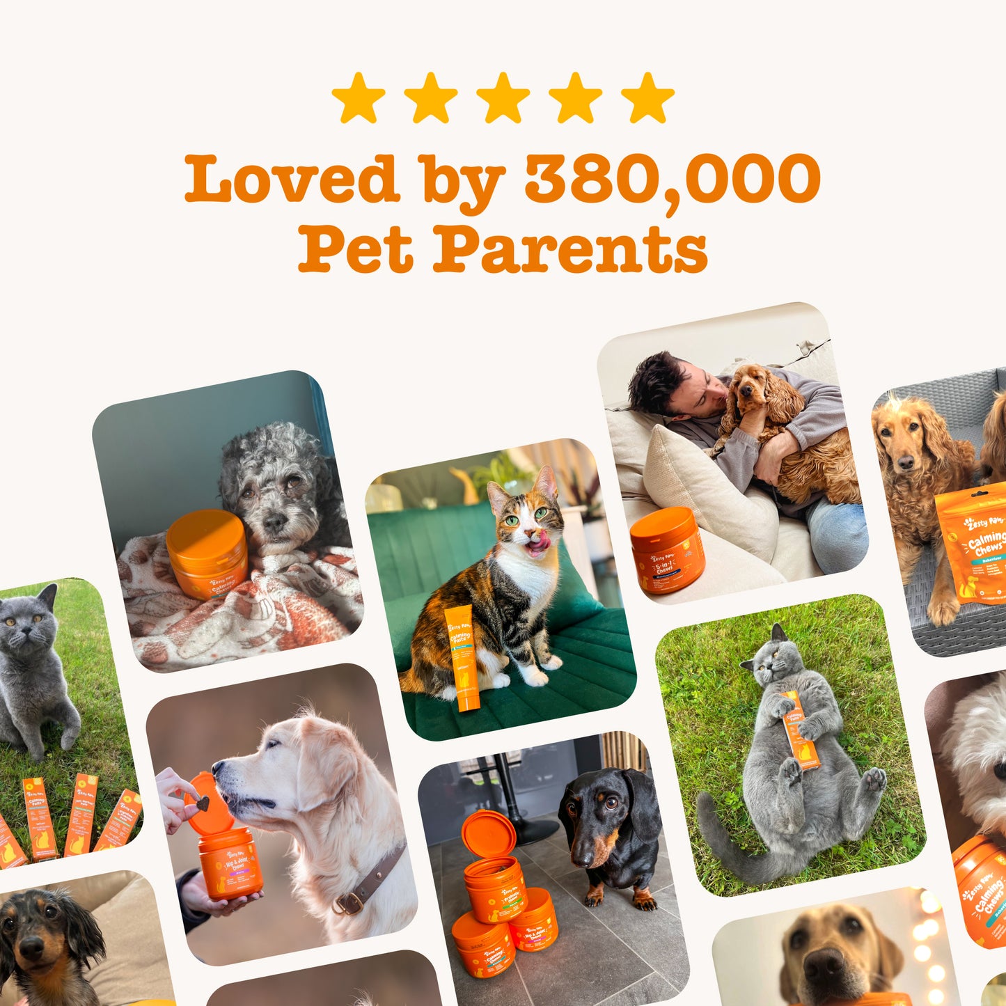 Zesty Paws Probiotic Rapid Care Paste