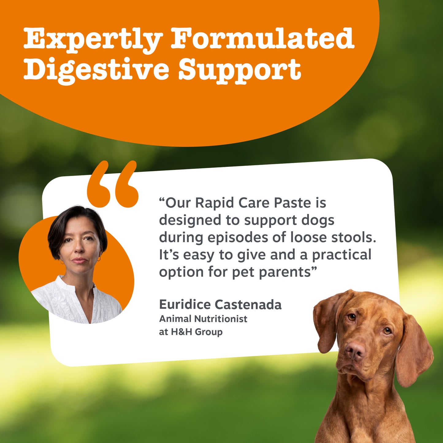 Zesty Paws Probiotic Rapid Care Paste