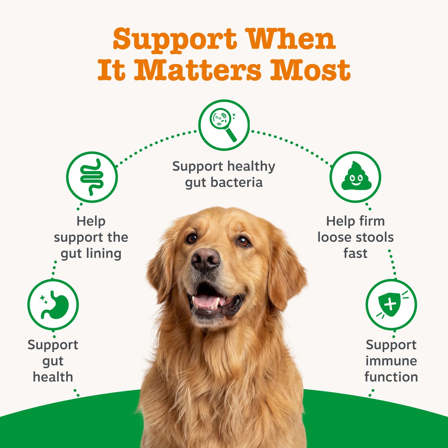 Zesty Paws Probiotic Rapid Care Paste