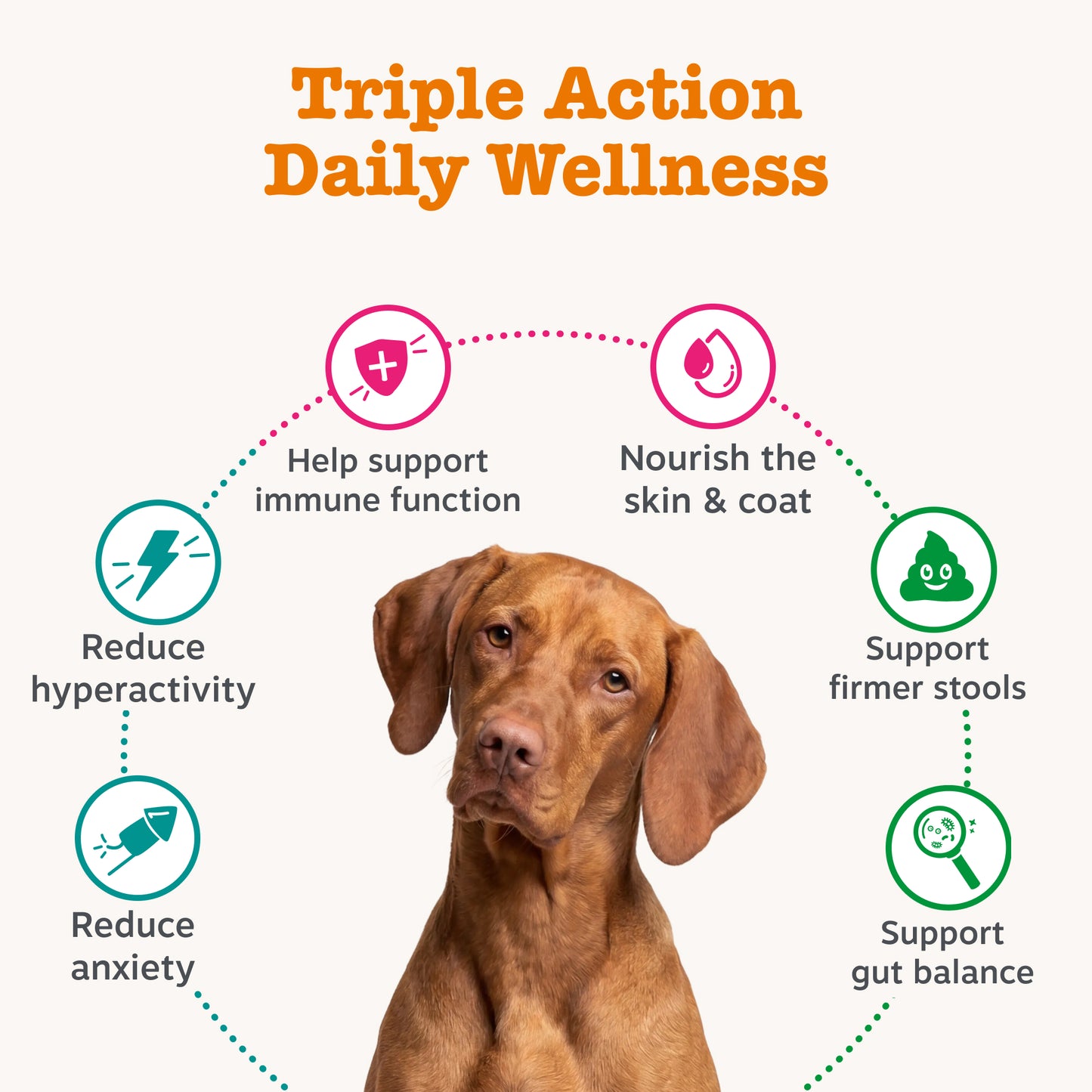 Zesty Paws Rescue Dog Trio