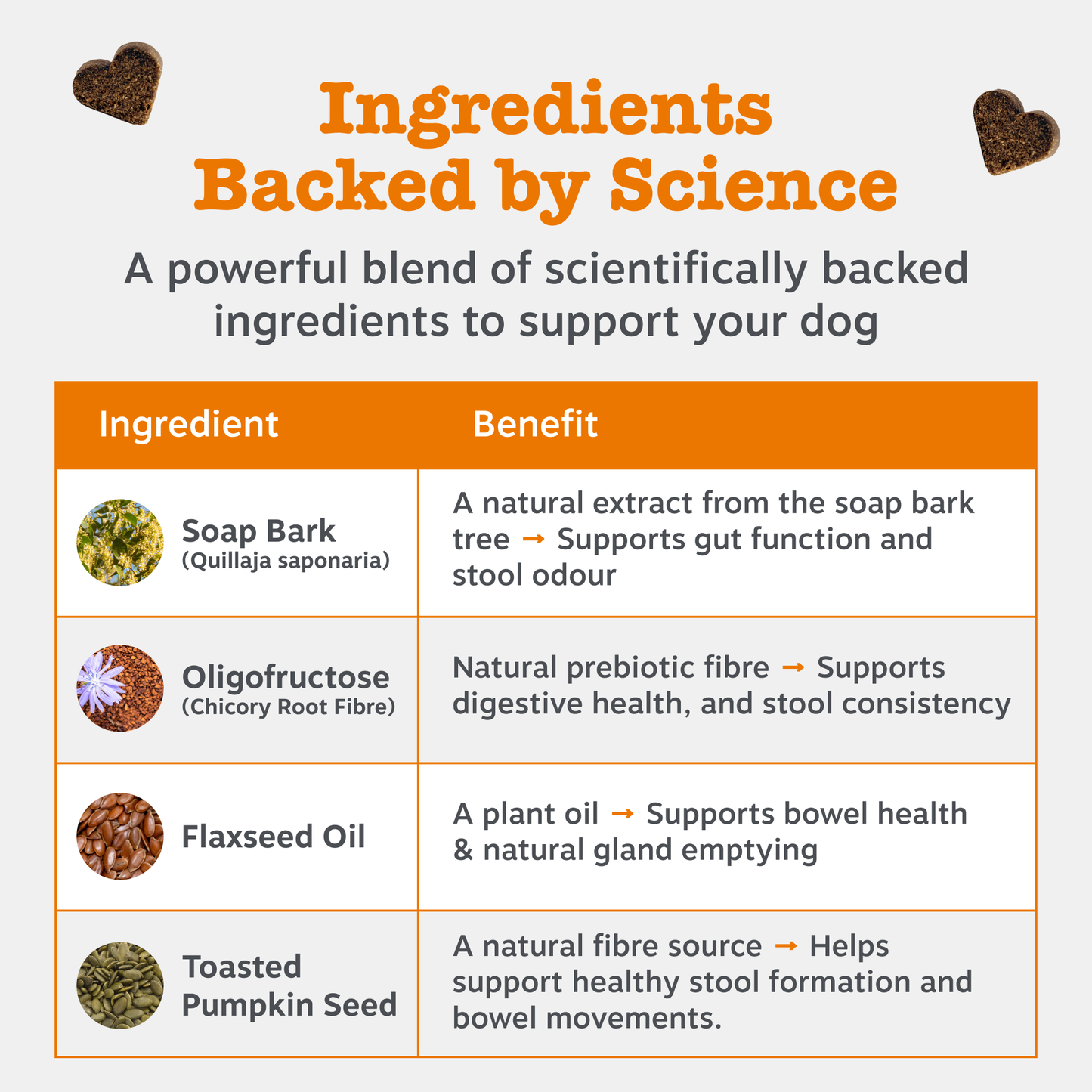 Zesty Paws Scoot Away - Anal Gland Support Chews