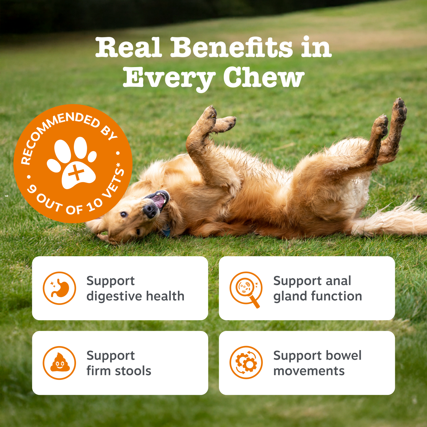 Zesty Paws Scoot Away - Anal Gland Support Chews