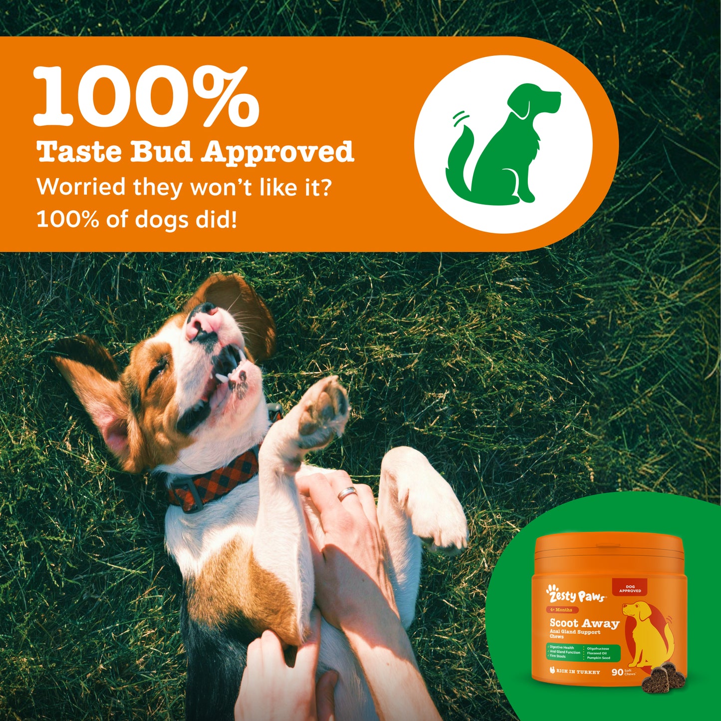 Zesty Paws Scoot Away Anal Gland Support Chews