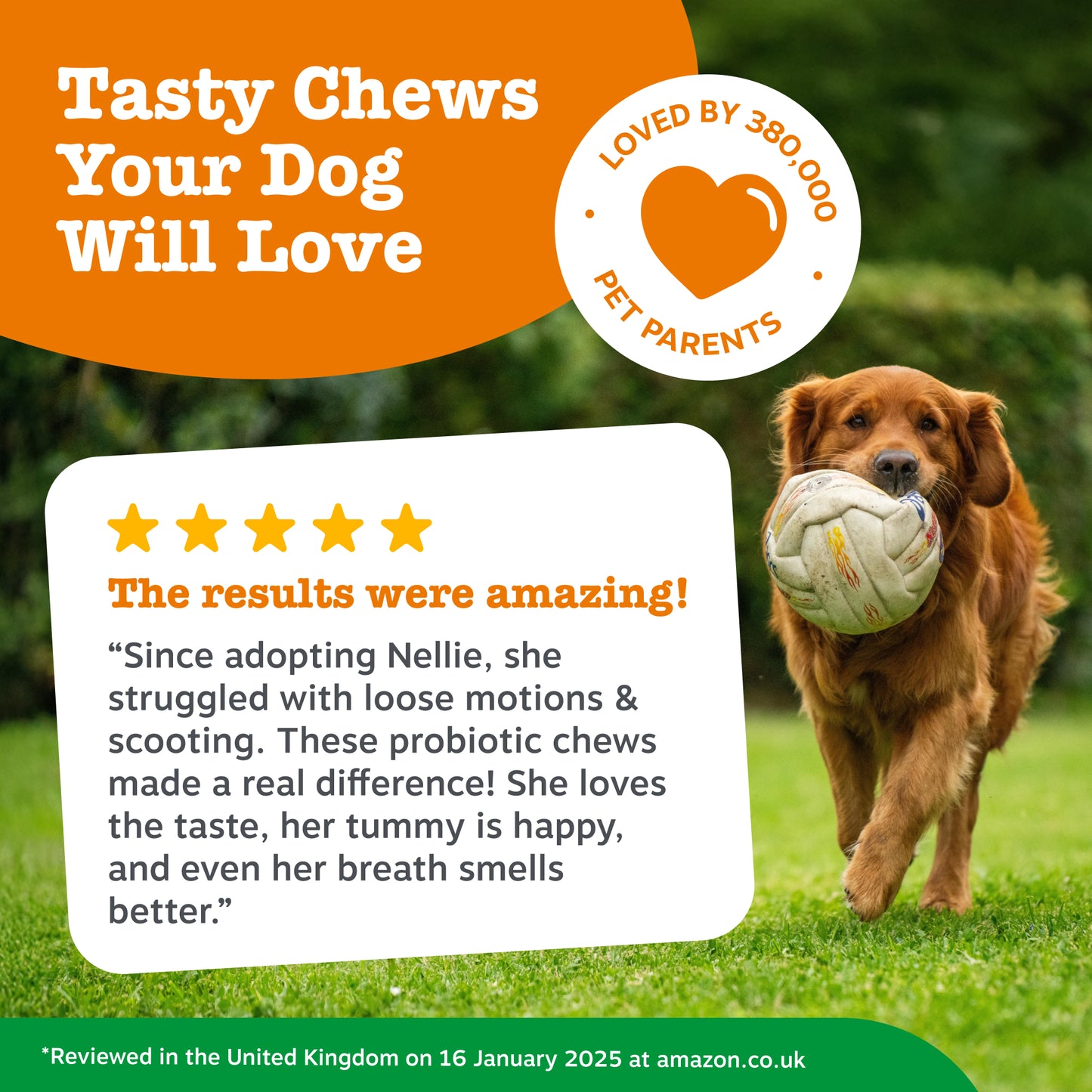 Zesty Paws Scoot Away Anal Gland Support Chews