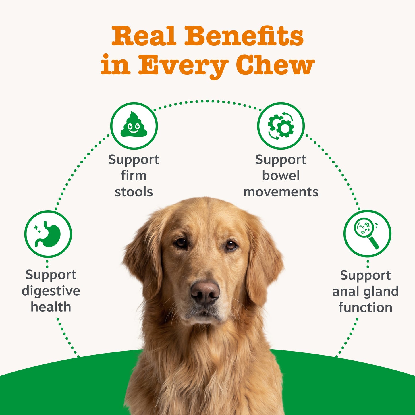 Zesty Paws Scoot Away Anal Gland Support Chews