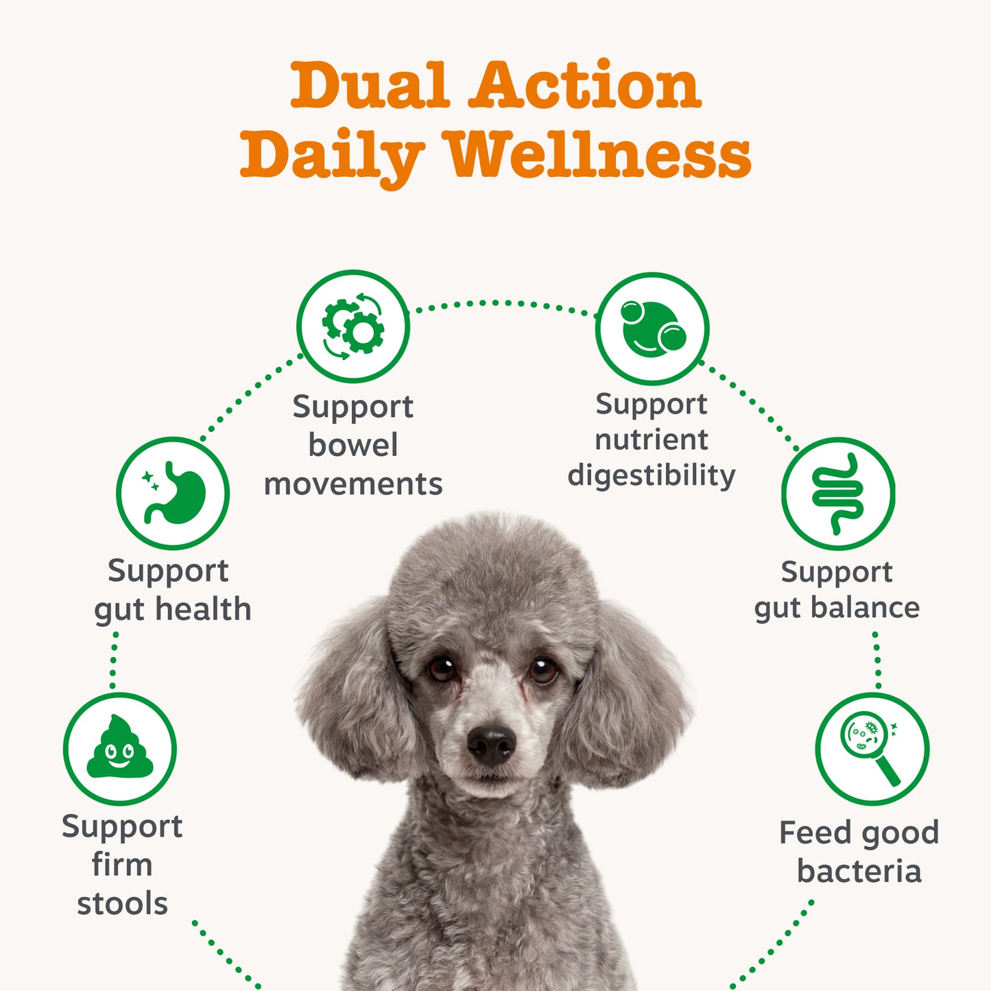 Zesty Paws Scoot & Digest Duo