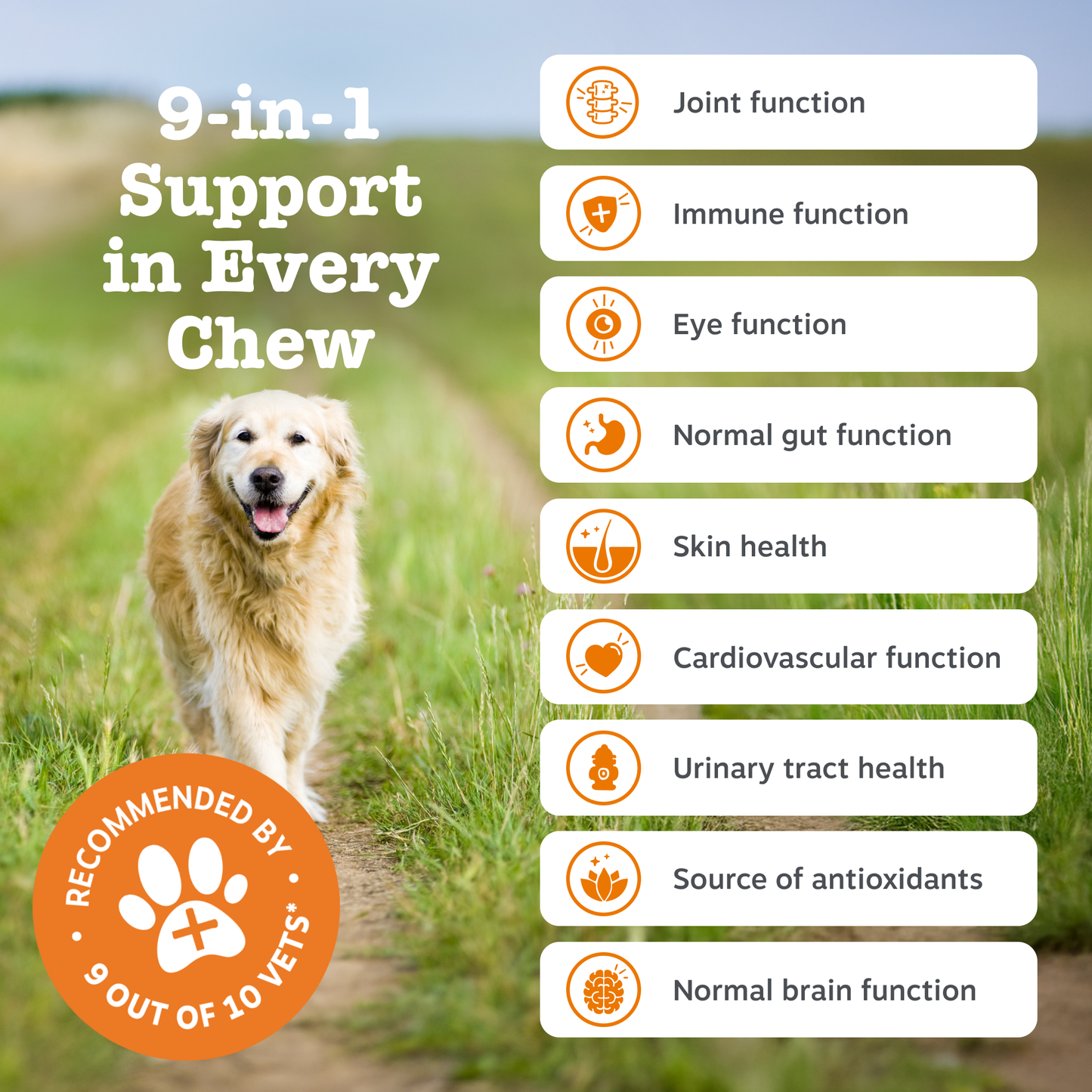 Zesty Paws Senior Advanced 9-in-1 Chews