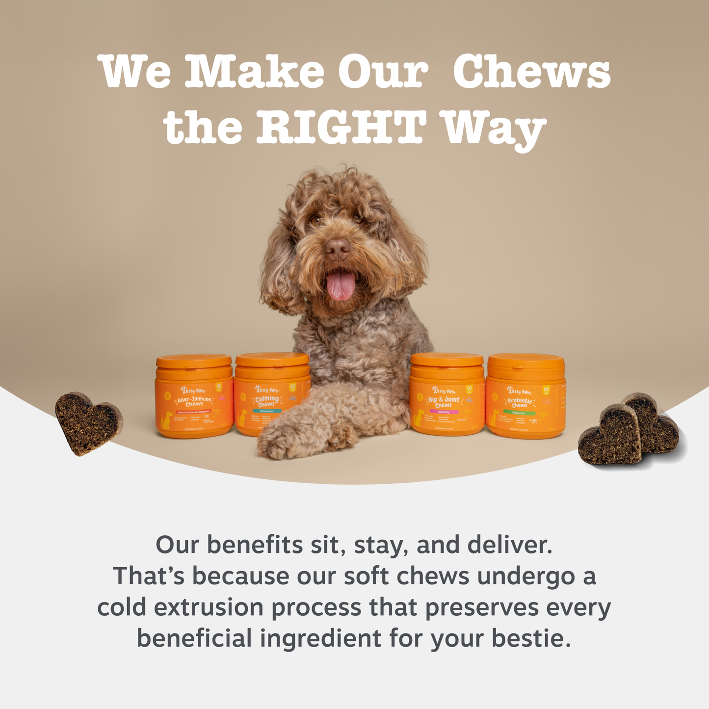 Zesty Paws Senior Advanced 9-in-1 Chews