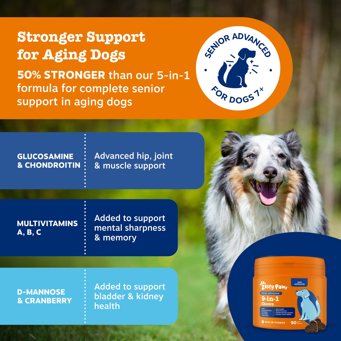 Zesty Paws Senior Advanced 9-in-1 Chews