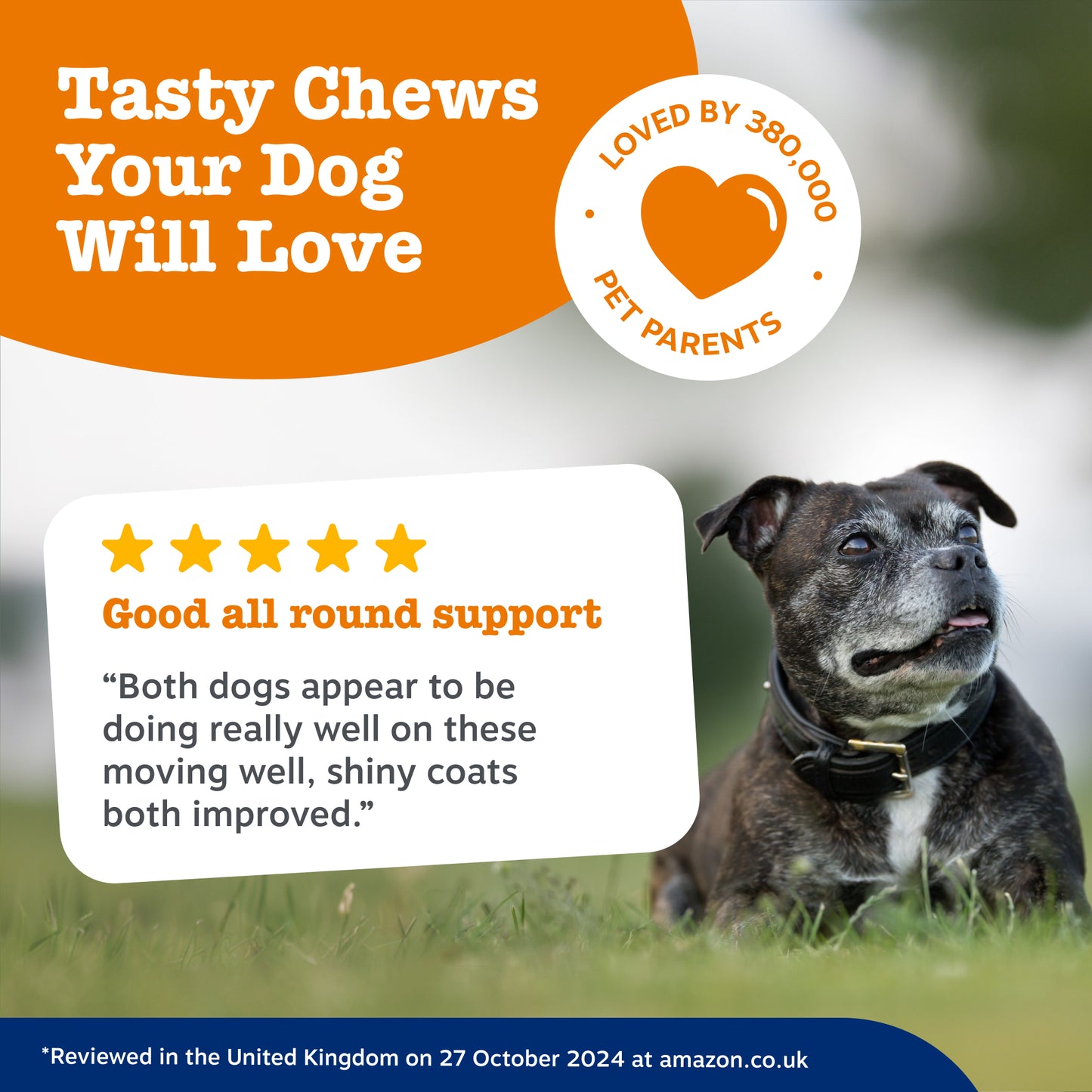 Zesty Paws Senior Advanced 9-in-1 Chews