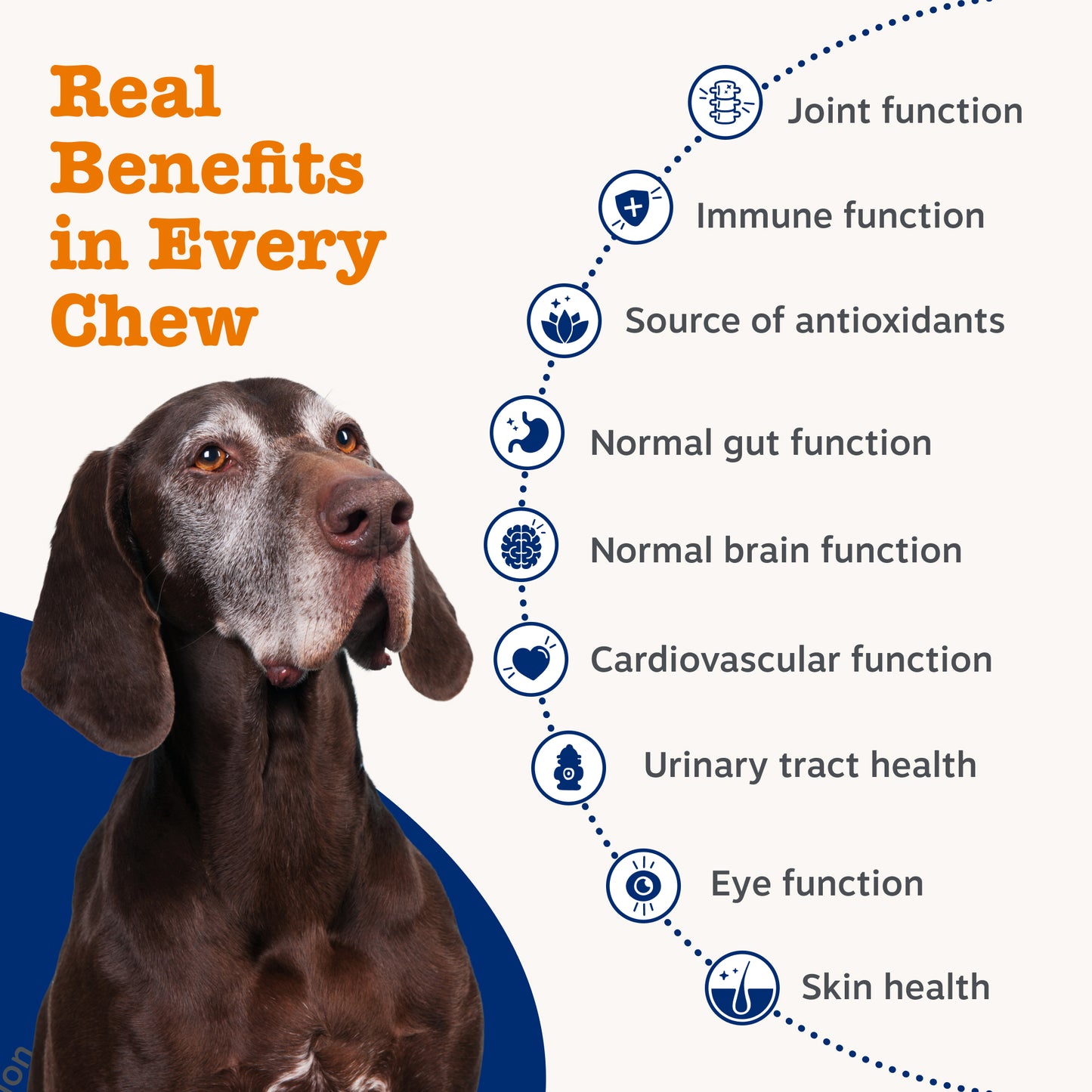 Zesty Paws Senior Advanced 9-in-1 Chews
