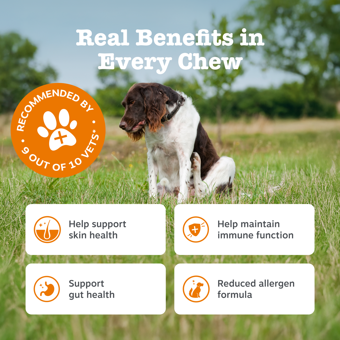Zesty Paws Senior Advanced Aller-Immune Chews