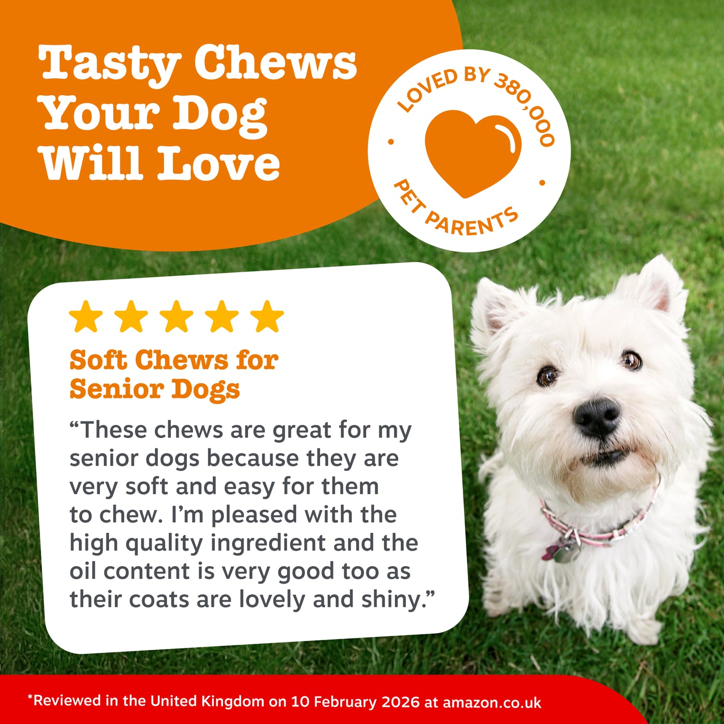Zesty Paws Senior Advanced Aller-Immune Chews