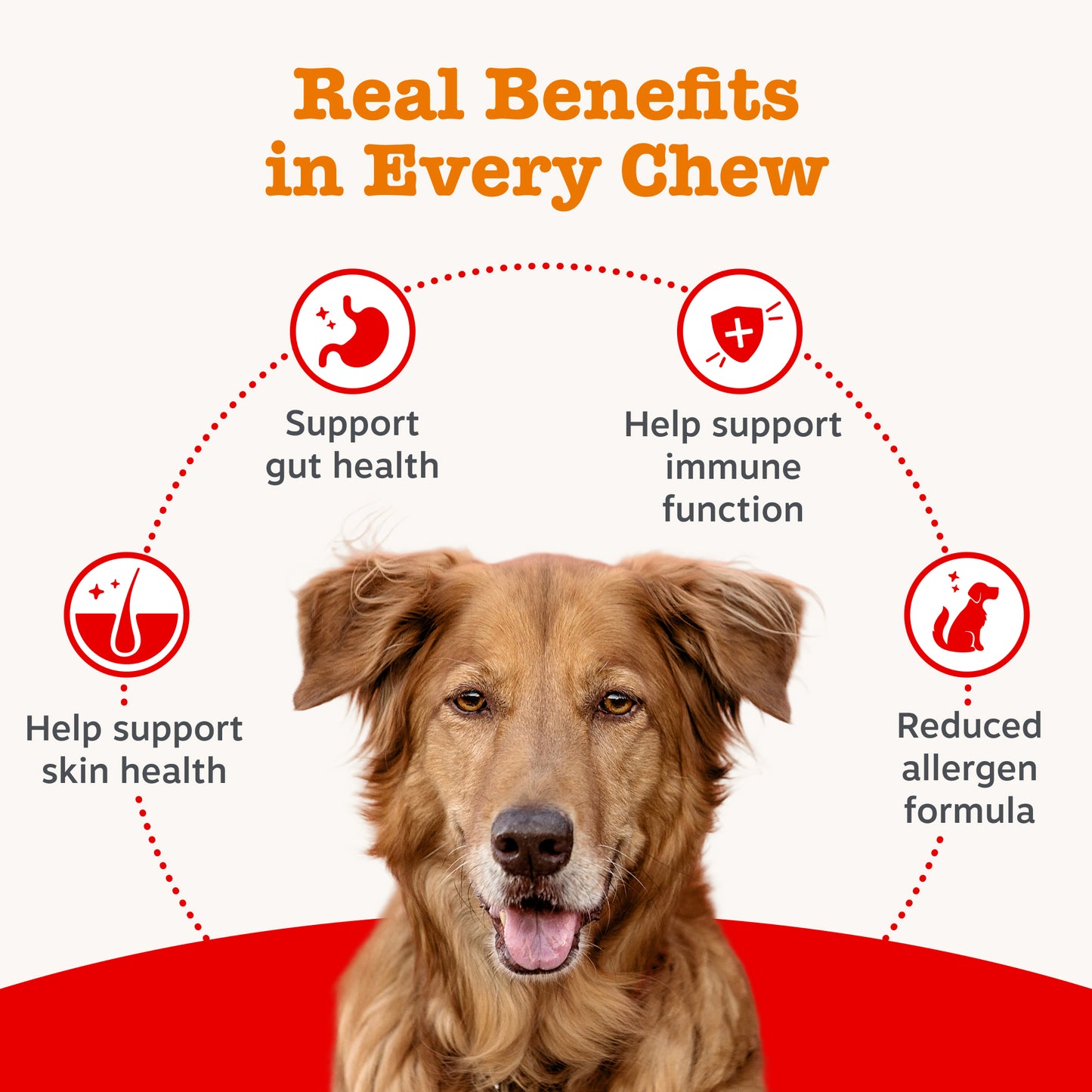 Zesty Paws Senior Advanced Aller-Immune Chews
