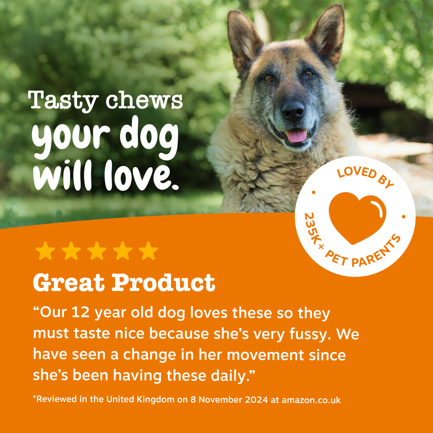 Zesty Paws Senior Advanced Hip & Joint Chews