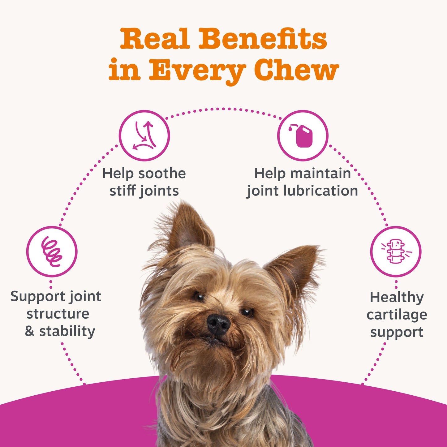Zesty Paws Senior Advanced Hip & Joint Chews