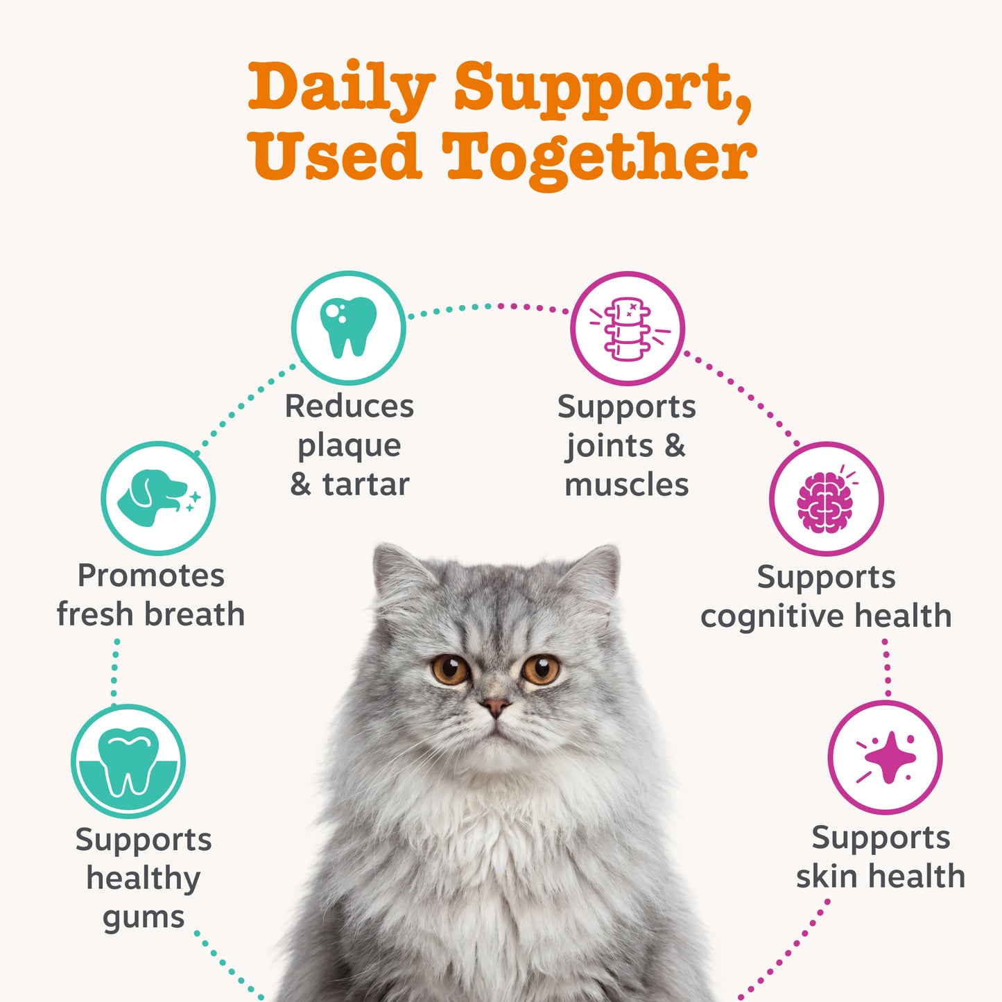 Zesty Paws Senior Cat Duo
