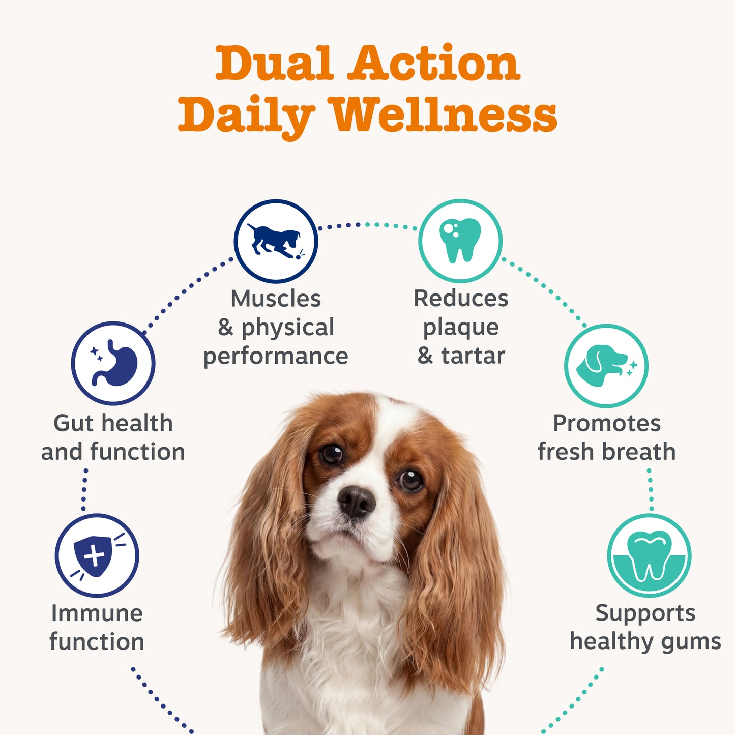 Zesty Paws Senior Dog Wellness Duo