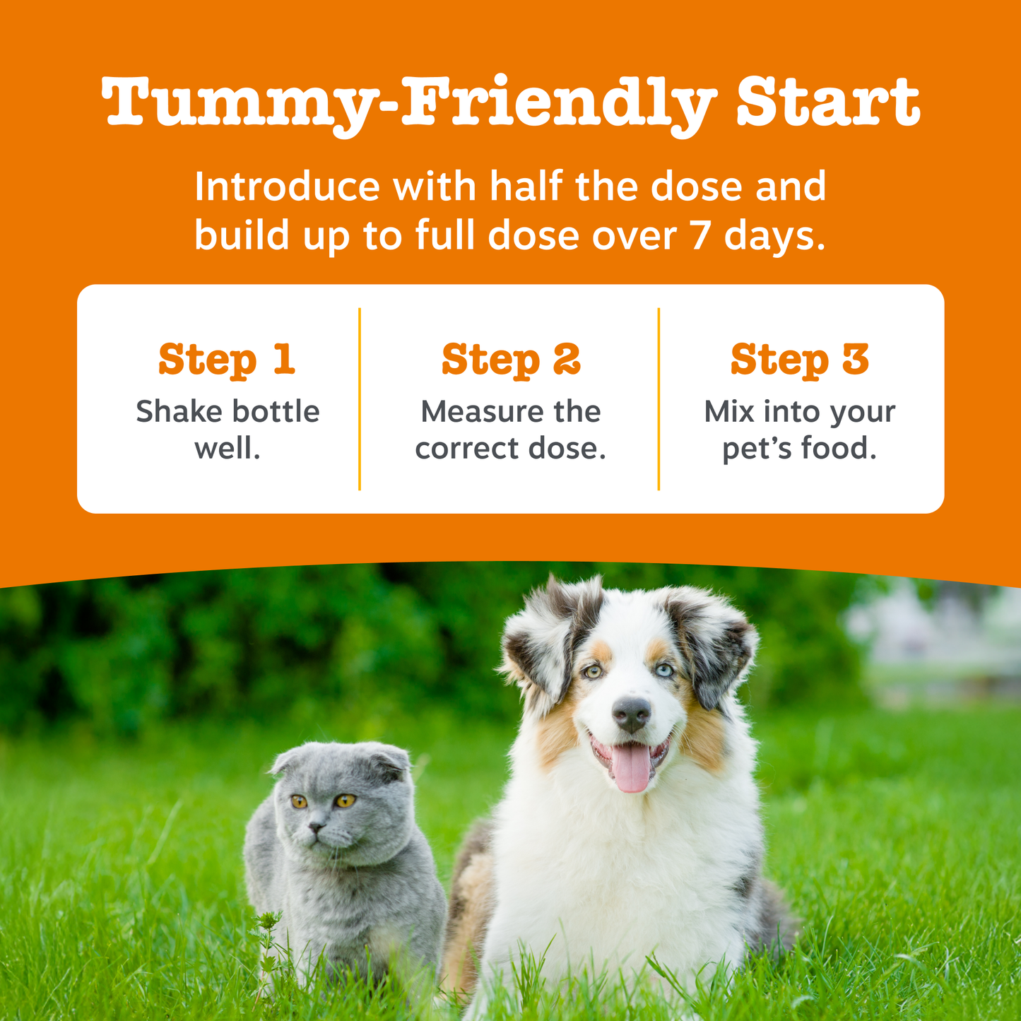 Zesty Paws Skin & Coat Salmon Oil