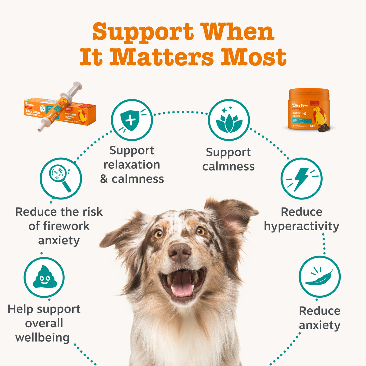 Zesty Paws UK Complete Calming Bundle