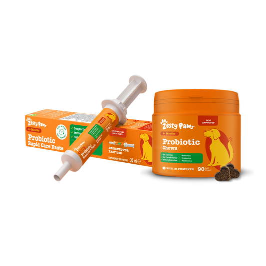 Zesty Paws UK Complete Gut Care Bundle