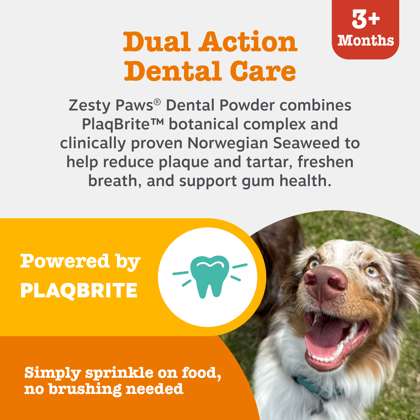 Zesty Paws UK Dental Powder