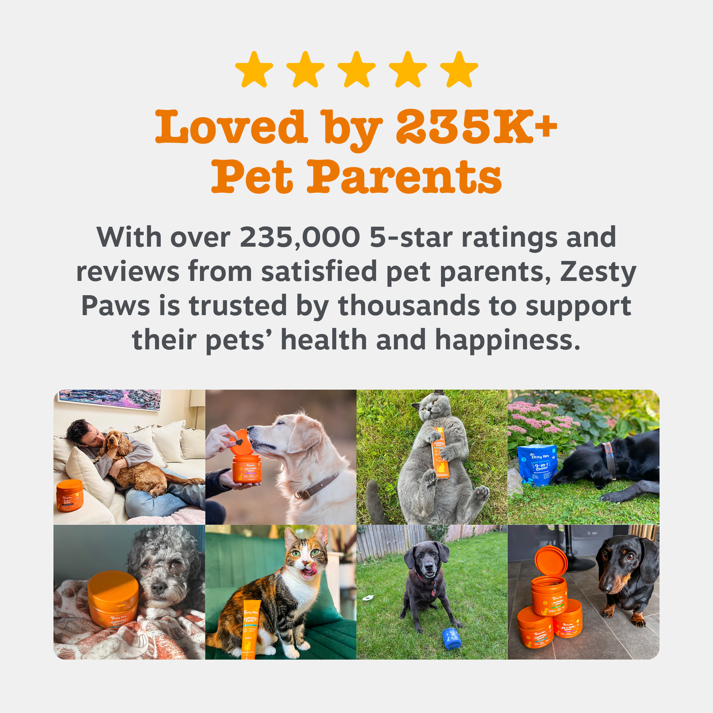 Zesty Paws UK Dog Digestive & Calming Duo