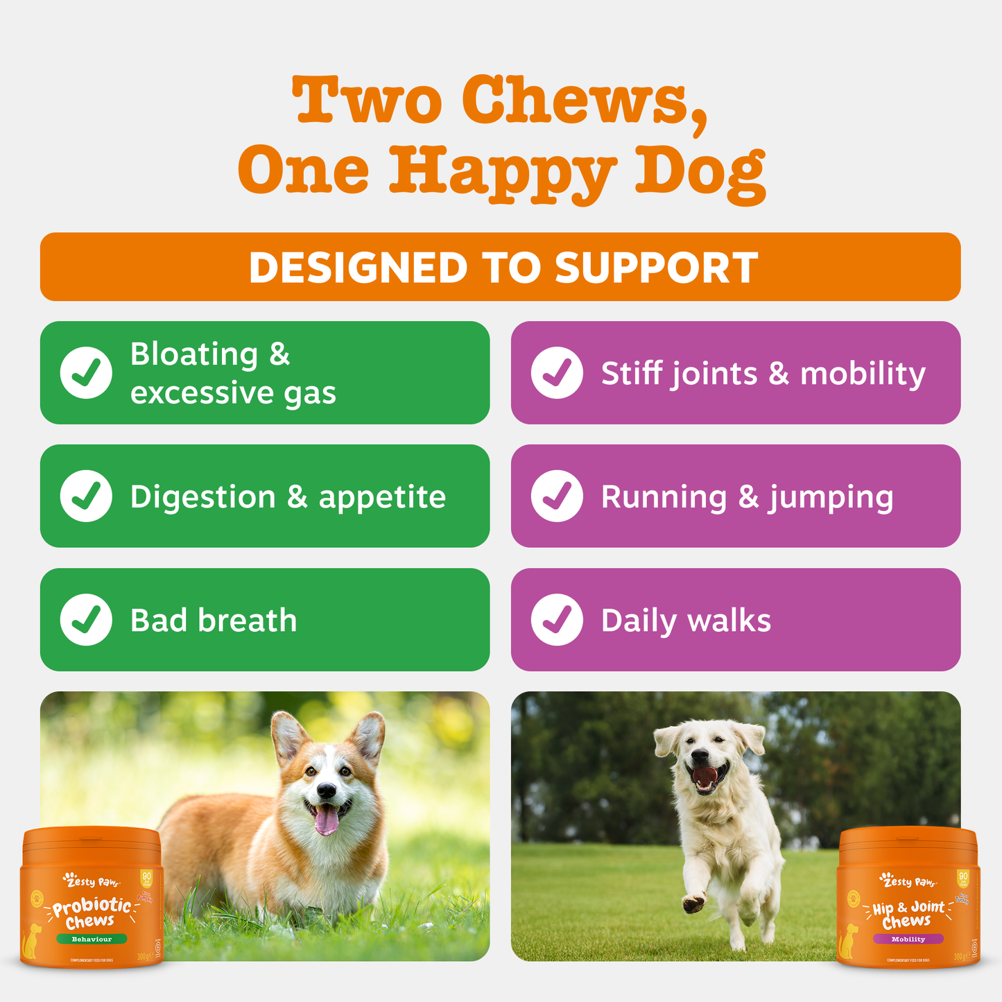 Zesty Paws UK Dog Digestive & Joint Duo