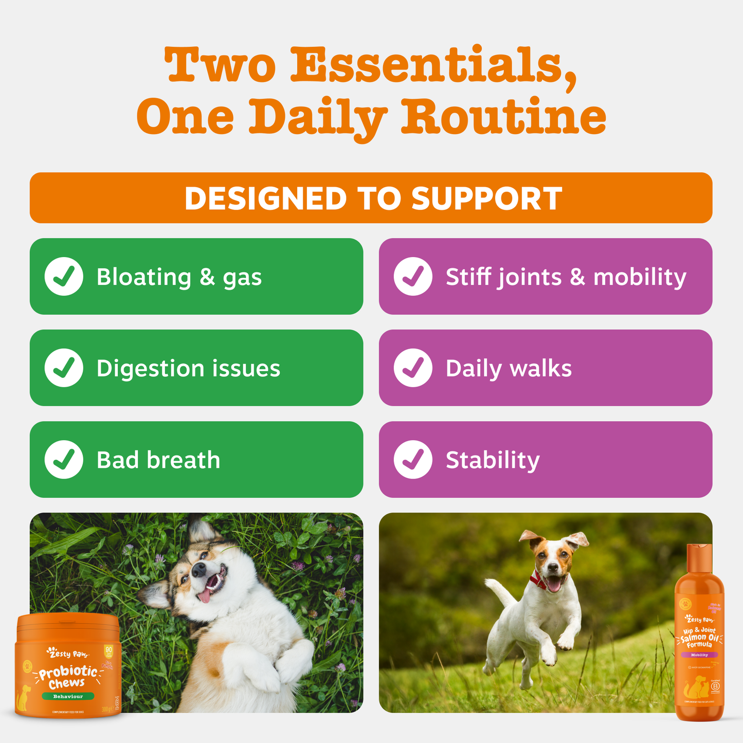 Zesty Paws UK Gut & Mobility Duo