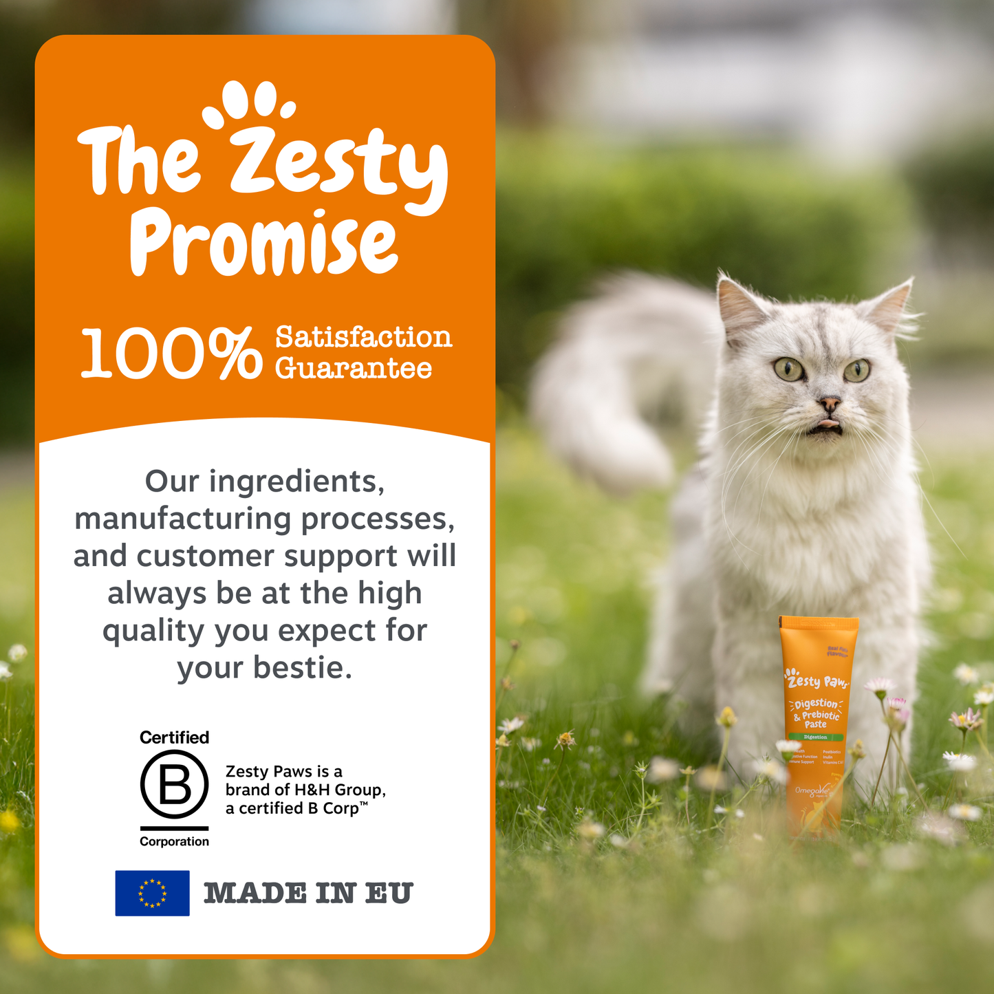 Zesty Paws Urinary & Renal Care Paste