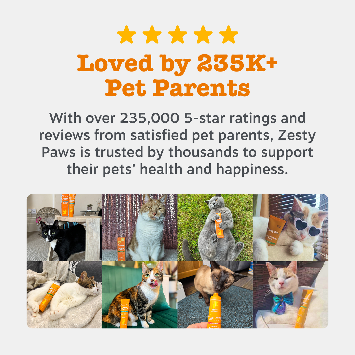 Zesty Paws Urinary & Renal Care Paste