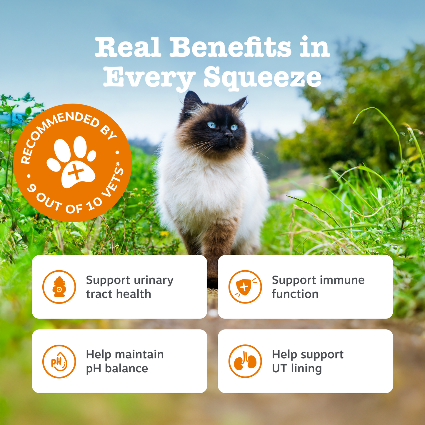 Zesty Paws Urinary & Renal Care Paste