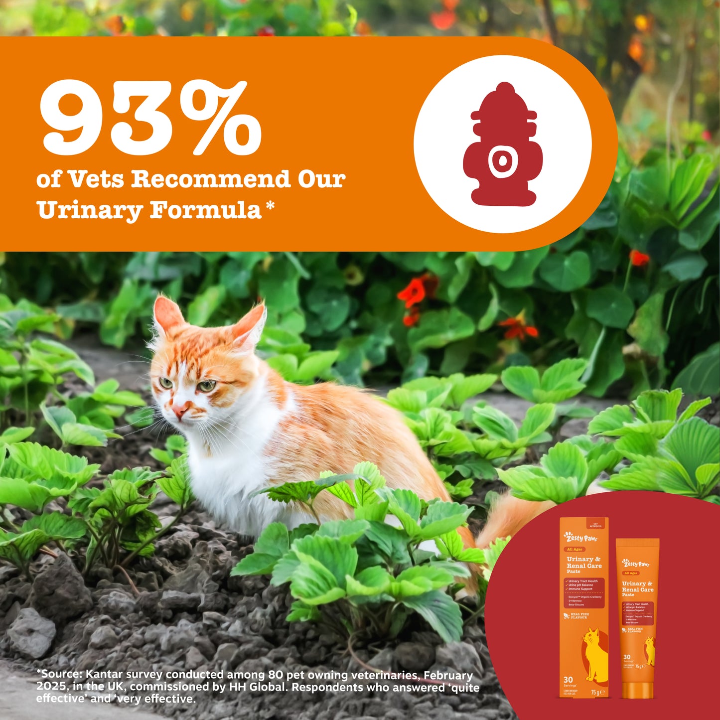 Zesty Paws Urinary & Renal Care Paste